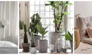 Tre olika inredningsstilar: minimalistisk sovrum, grönt fönster och mysig läshörna.