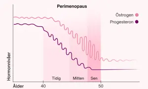Graf som visar hormonförändringar under perimenopausen, med sjunkande östrogen och progesteron runt 40 års ålder, vilket kan ge klimakteriet vid 40 symtom.