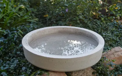 Ett enkelt fågelbad diy i betong, fyllt med vatten och omgivet av grönska.