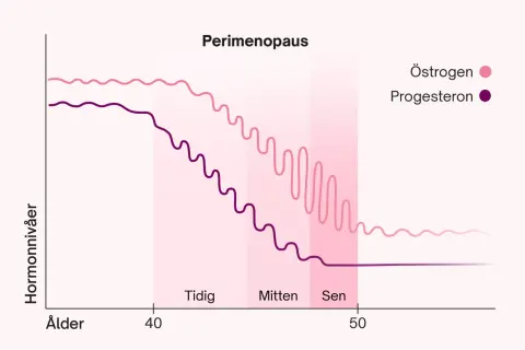Graf som visar hormonförändringar under perimenopausen, med sjunkande östrogen och progesteron runt 40 års ålder, vilket kan ge klimakteriet vid 40 symtom.