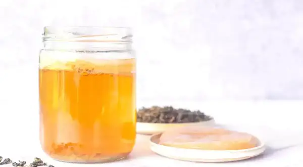 En burk med fermenterad dryck, teblad och en SCOBY. Perfekt för ditt kombucha recept.