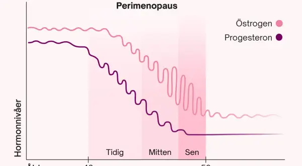 Graf som visar hormonförändringar under perimenopausen, med sjunkande östrogen och progesteron runt 40 års ålder, vilket kan ge klimakteriet vid 40 symtom.