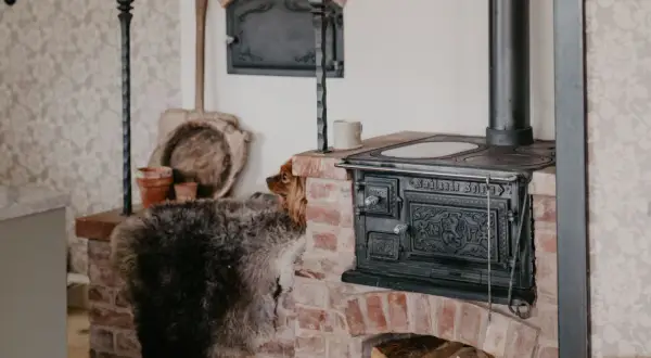 En hund kikar fram bakom en fårskinnspläd vid en gammal gjutjärnskamin. Perfekt lantlig inredning inspiration med tegel och rustika detaljer.