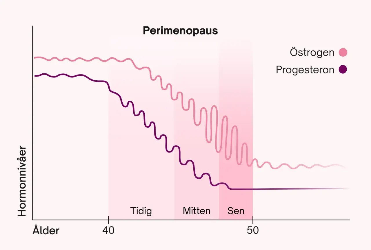 Graf som visar hormonförändringar under perimenopausen, med sjunkande östrogen och progesteron runt 40 års ålder, vilket kan ge klimakteriet vid 40 symtom.