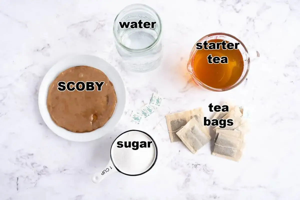 Ingredienser för kombucha recept: SCOBY, vatten, startte, tepåsar och socker.