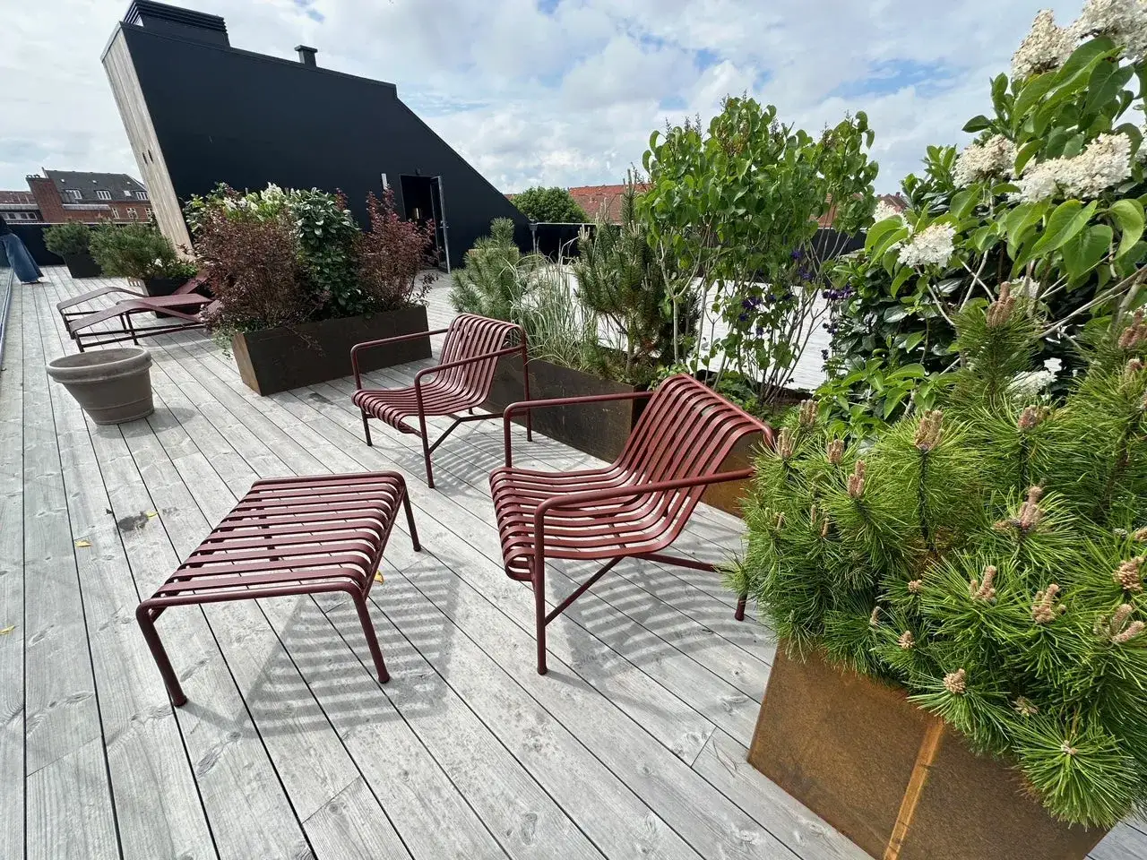 Modern takterrass med rostfria bloml&aring;dor och m&ouml;bler. Perfekt bloml&aring;da inspiration f&ouml;r en gr&ouml;n oas.